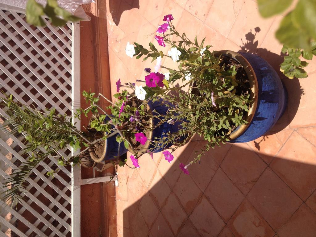 Riad Dar Saba Marrakesh Værelse billede